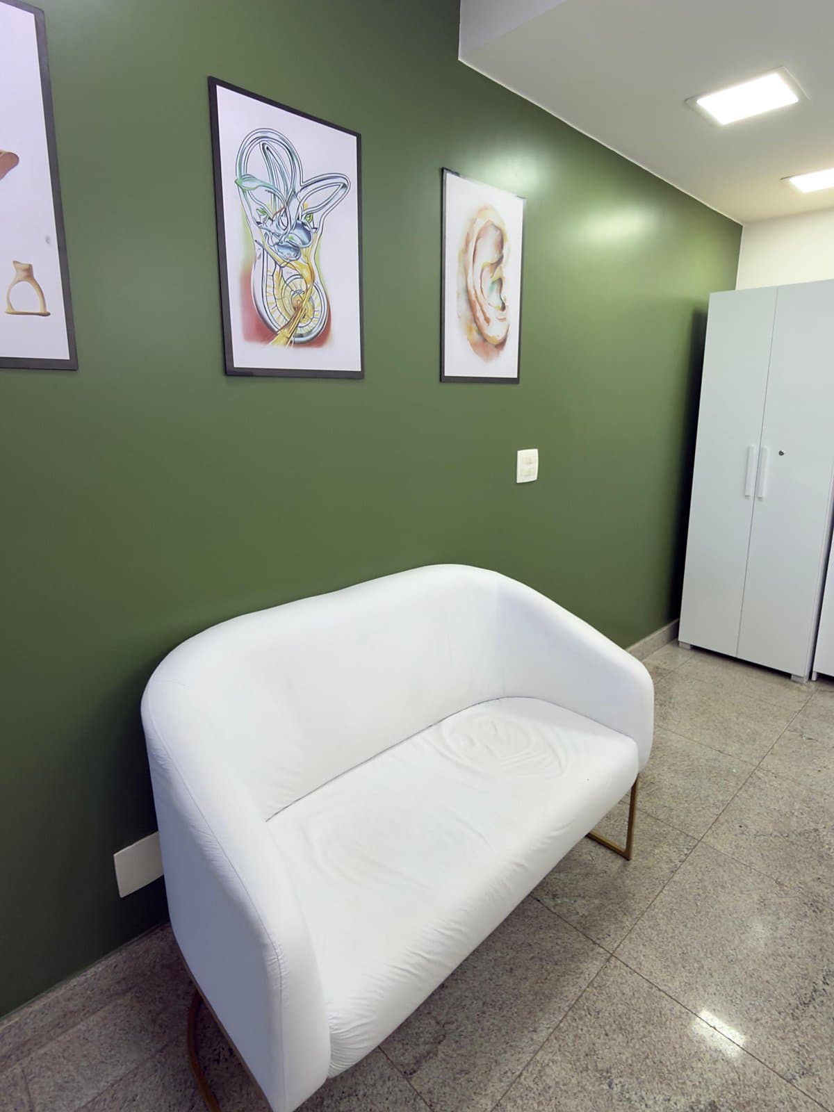 Poltrona branca diante de parede verde com quadros de anatomia do ouvido