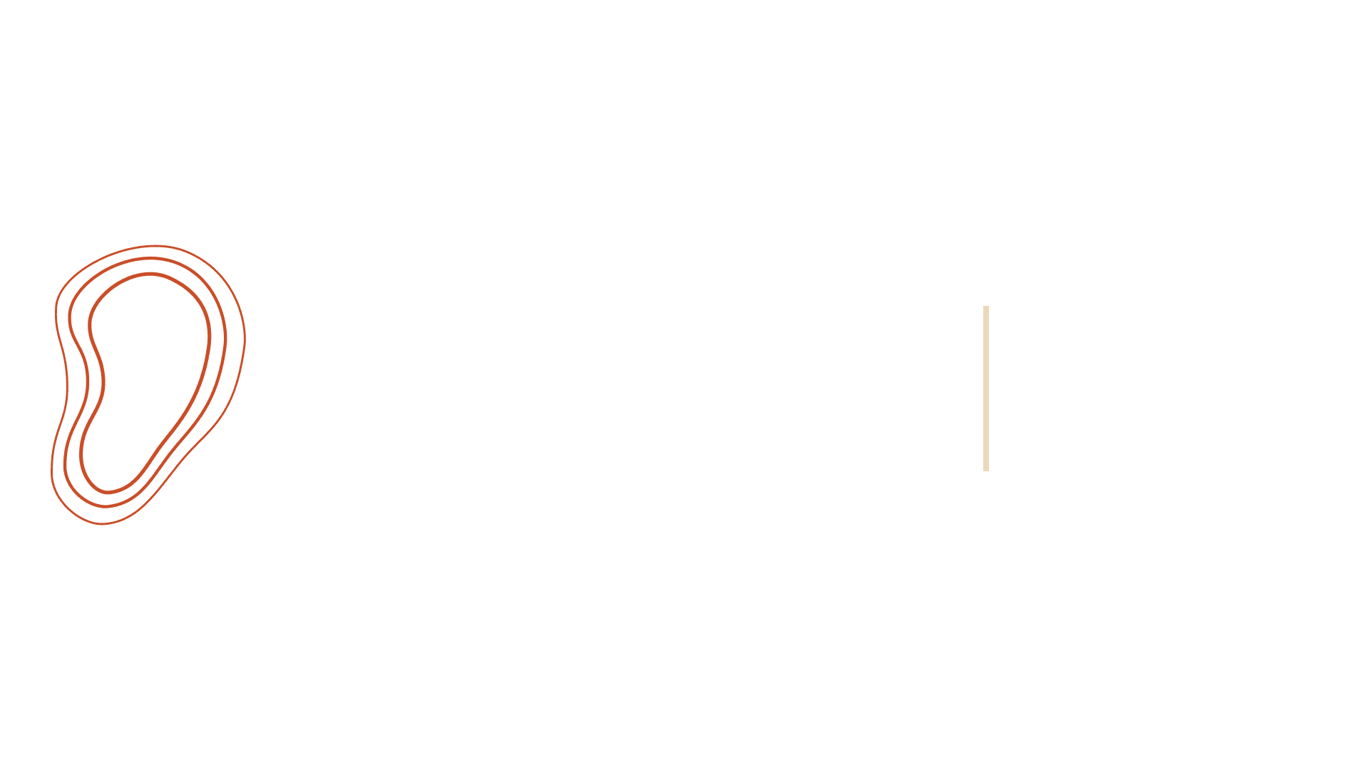 Logo Audity na parede da clínica
